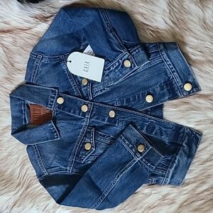 NWT GAP X Cult Gaia Collab Asymmetrical Denim Jacket Kids Size 8